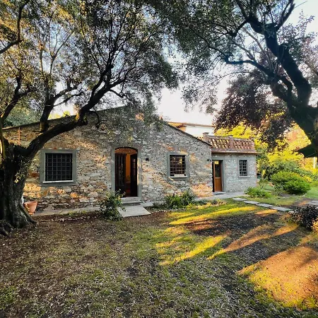La Casina Di Susy Villa Seravezza Exterior photo